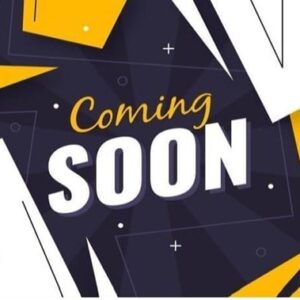 2023 CATERPILLAR 336